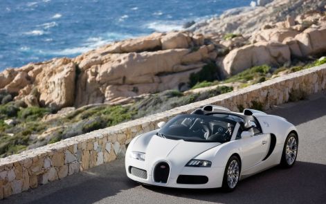 bugatti_veyron_cabrio02.jpg